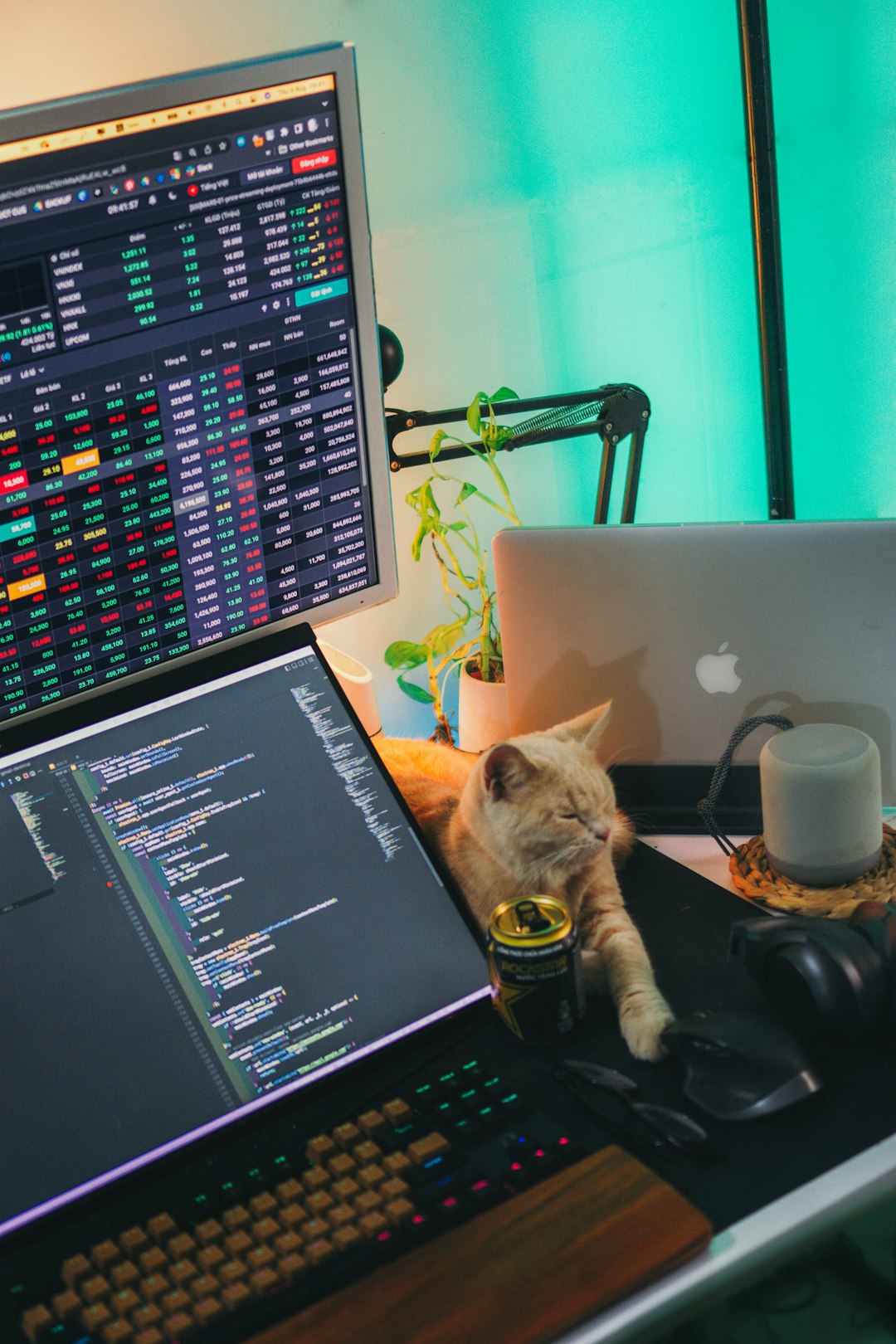 Risk Management Strategies